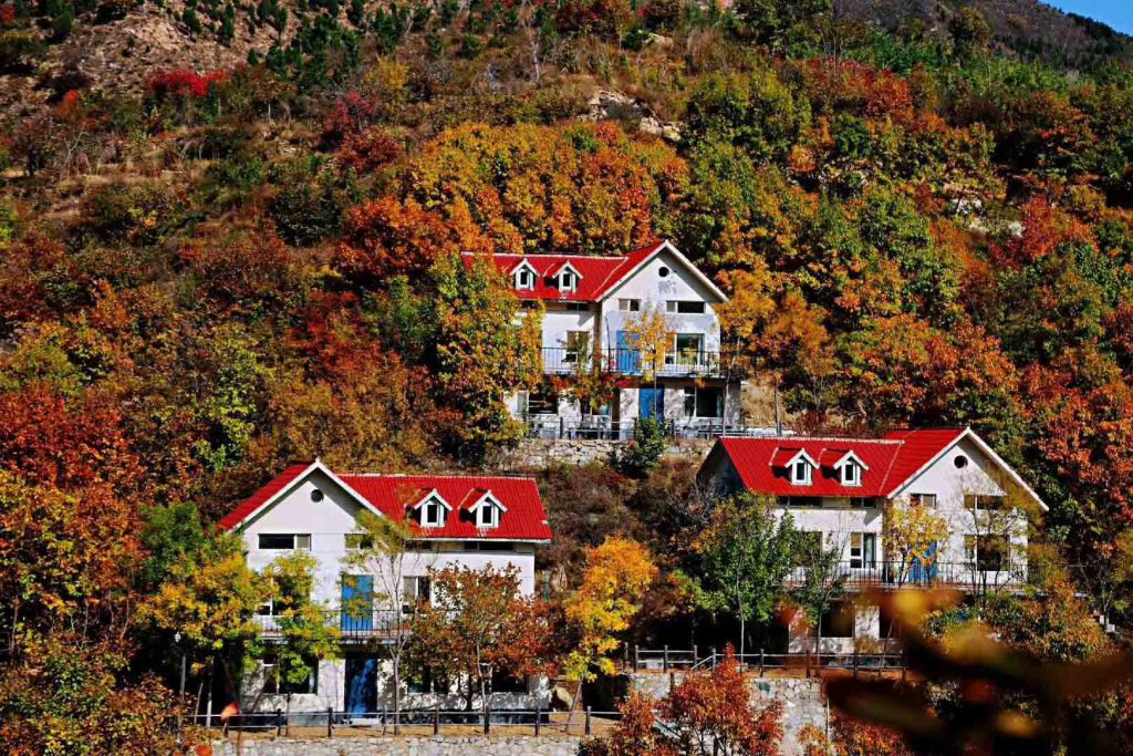 图片[1]团建123-营造惊奇团建体验济南·南部山区—九如山5A级拓展训练基地团建123-营造惊奇团建体验团建123-为团建而生,让团建更简单
