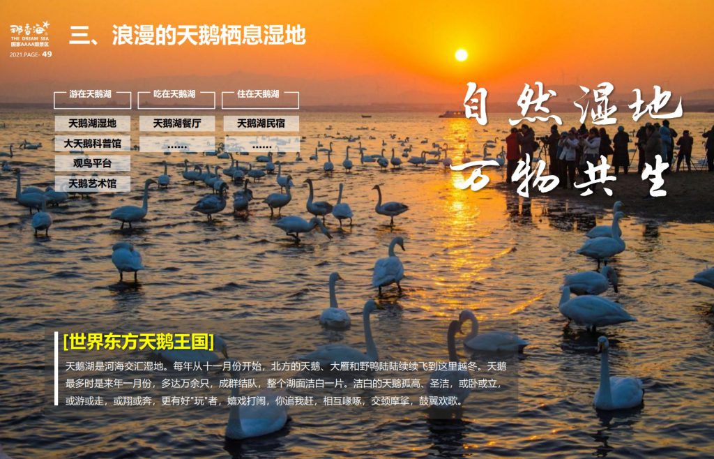 图片[49]团建123-营造惊奇团建体验威海·那香海拓展训练基地团建123-营造惊奇团建体验团建123-为团建而生,让团建更简单