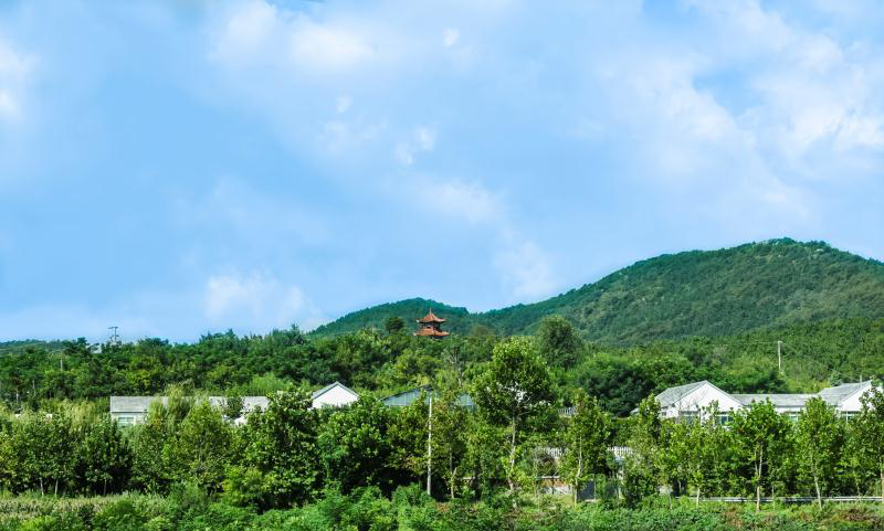 图片[2]团建123-营造惊奇团建体验烟台·牟平拓展训练基地—鹤仙谷杏花山庄团建123-营造惊奇团建体验团建123-为团建而生,让团建更简单