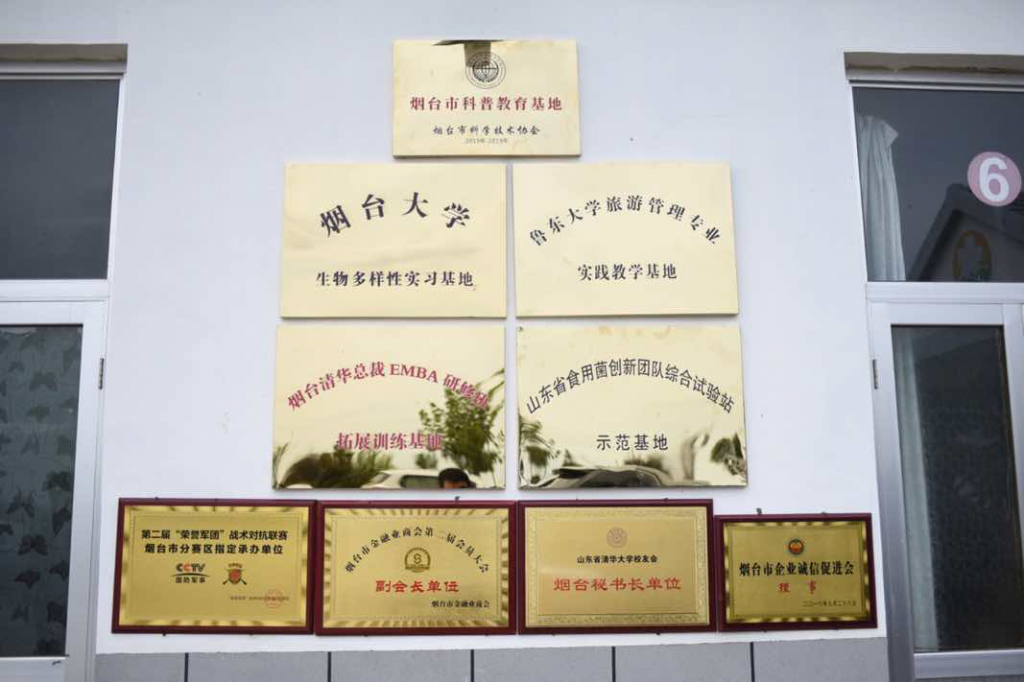图片[3]团建123-营造惊奇团建体验烟台·牟平拓展训练基地—鹤仙谷杏花山庄团建123-营造惊奇团建体验团建123-为团建而生,让团建更简单