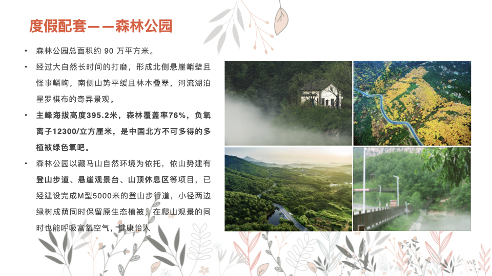 图片[41]团建123-营造惊奇团建体验青岛·藏马山融创-阿朵小镇基地介绍团建123-营造惊奇团建体验团建123-为团建而生,让团建更简单