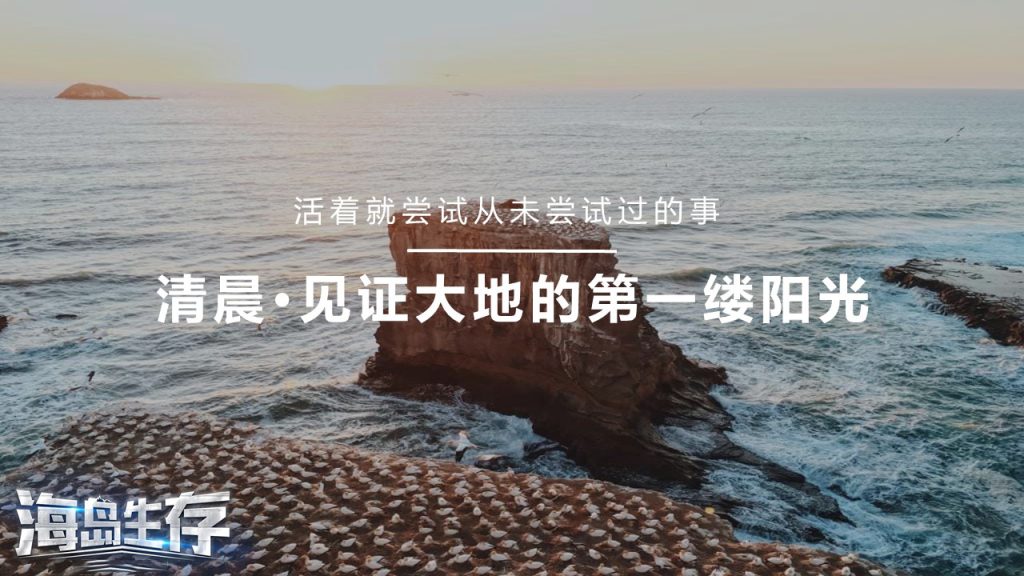 图片[2]团建123-营造惊奇团建体验海岛生存体验团建123-营造惊奇团建体验团建123-为团建而生,让团建更简单
