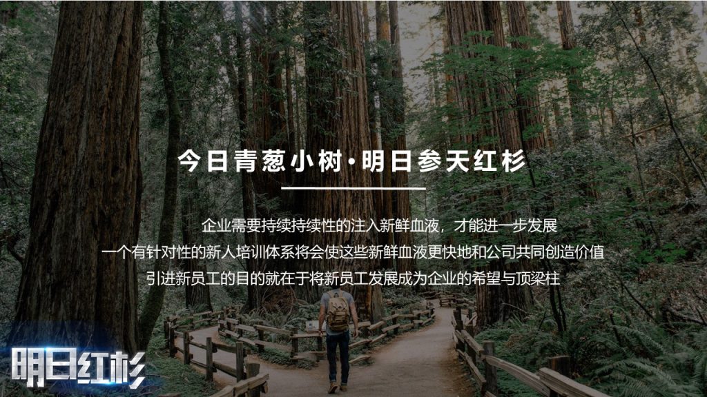 图片[2]团建123-营造惊奇团建体验明日红杉——95后新人培训系列课程团建123-营造惊奇团建体验团建123-为团建而生,让团建更简单