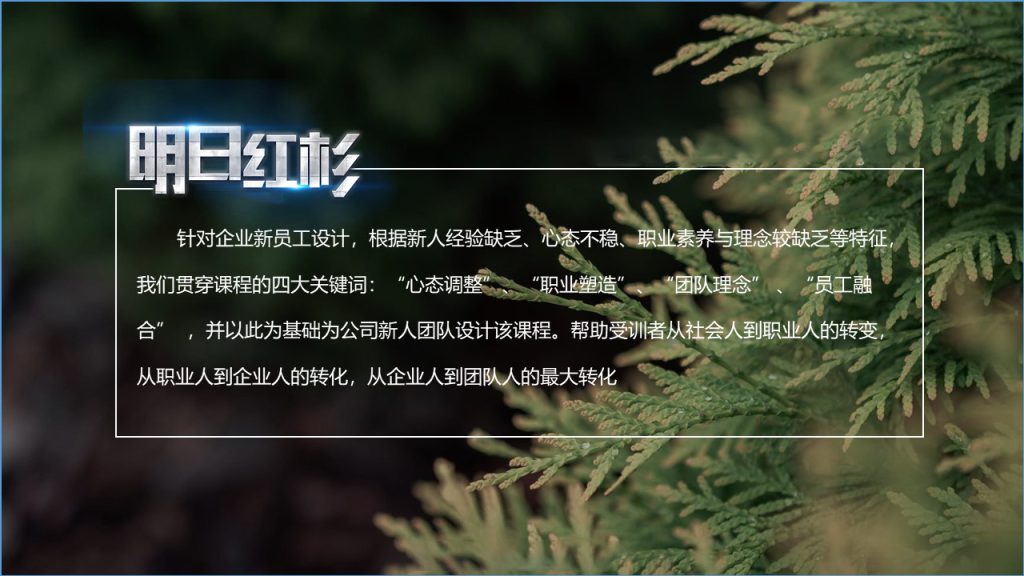图片[3]团建123-营造惊奇团建体验明日红杉——95后新人培训系列课程团建123-营造惊奇团建体验团建123-为团建而生,让团建更简单