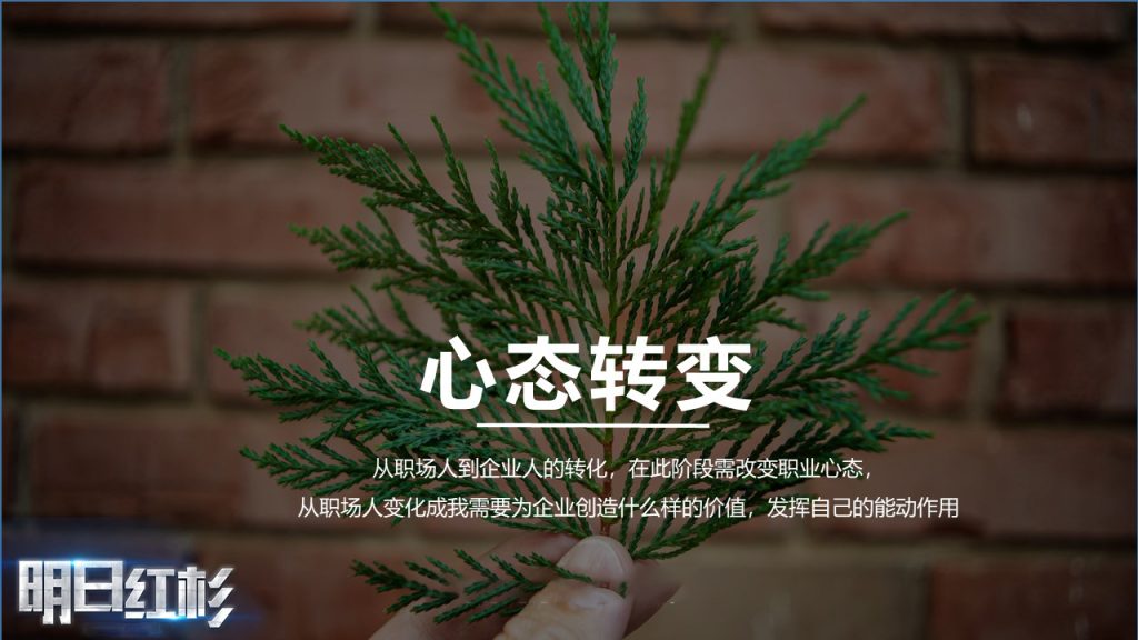 图片[5]团建123-营造惊奇团建体验明日红杉——95后新人培训系列课程团建123-营造惊奇团建体验团建123-为团建而生,让团建更简单