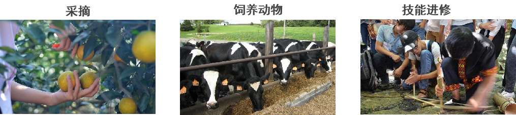 图片[6]团建123-营造惊奇团建体验归隐田园、享受自然——向往的生活团建123-营造惊奇团建体验团建123-为团建而生,让团建更简单